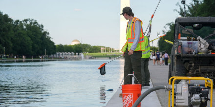 El drama de las algas empaña el proyecto de la piscina reflectante de Trump