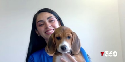 Una instructora explica por qué los perros beagle, como el de tiene Bad Bunny, son afables