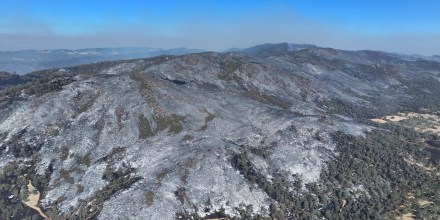 Cierran autopista y evacúan a residentes en California por el incendio forestal Ridge