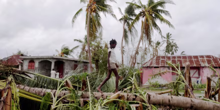 Image: A girl walks on a tree damaged by Hurricane Matthew in Les Cayes