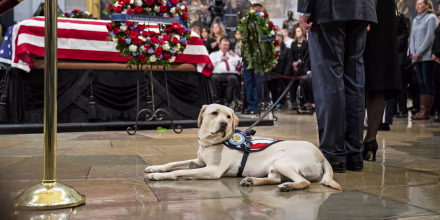 Image: Washington DC In Mourning For Late President George H.W. Bush