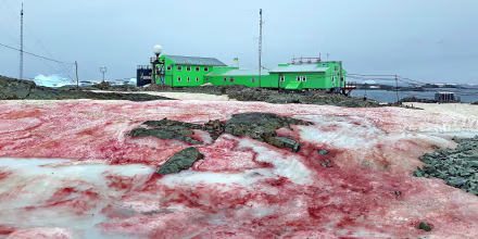 The ice around Ukraine's Vernadsky Research Base, located on Galindez Island, off the coast of Antarctica.