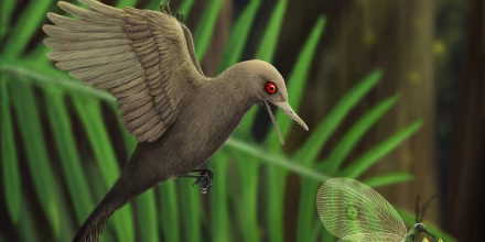 An artistic rendering of Oculudentavis imagining what it looked like preying on an insect.
