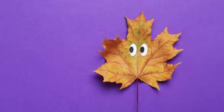 Fall Jokes