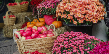 Fall Quotes