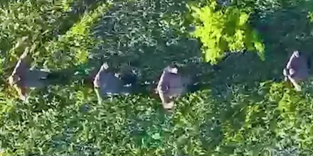 Image: A gif of aerial video showing Russian soldiers walking through a field with their hands on their heads.