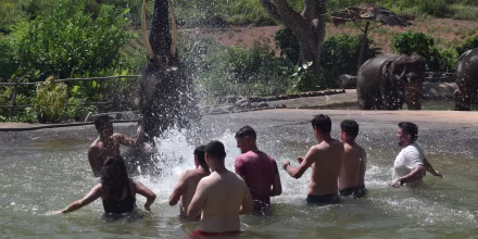 Image: A group of sailors from the USS Lincoln in the water with an elephant at a sanctuary in Pattaya during a Navy-organized trip.