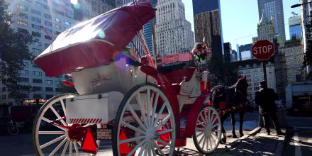 Nueva York prohíbe los carruajes de caballos a partir de 2028
