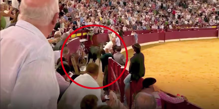 Vea cómo un toro saltó una barrera hacia las gradas en la Feria Taurina en España