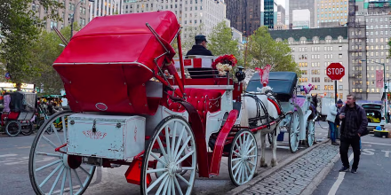 Ya es un hecho la prohibición de los icónicos carruajes del Central Park de Nueva York
