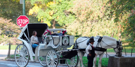 Nueva York está más cerca de prohibir los carruajes tirados por caballos