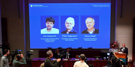 Dos científicos alemanes y un estadounidense ganan el Premio Nobel de Medicina