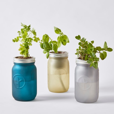 Garden Jar Herb Kit (Set of 2)