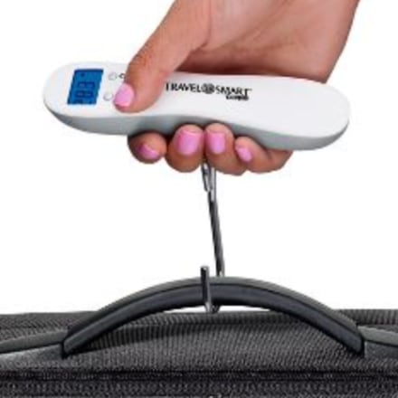 travel luggage scale target