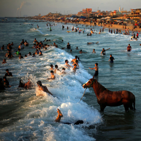 Image: Palestinian man washes his horse in the waters of the Mediterranean Sea as people swim on a hot day in the northern Gaza Strip