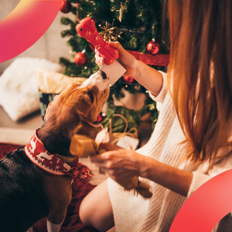 Free Dog Christmas Ideas 2022 Pics