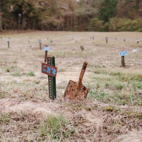Image: Metal stakes with numbered signs dot a grassy field. A rusty shovel sits next to one of the stakes.