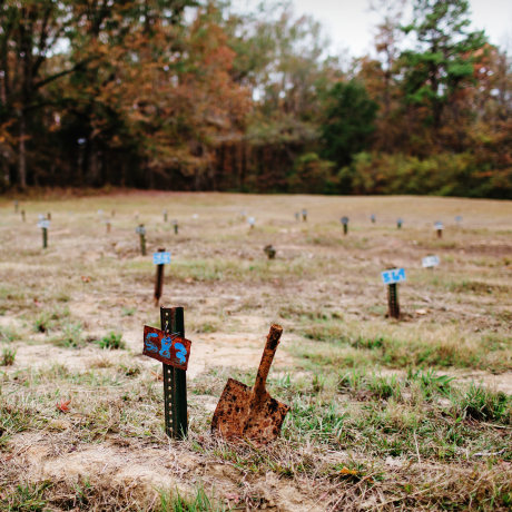 Image: Pauper's field Potter's field in Mississippi