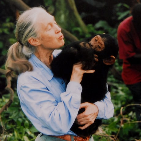 Jane Goodall.