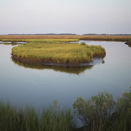Image: Deal Island