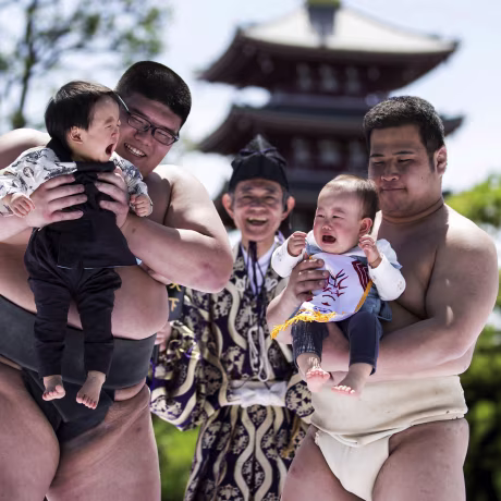Image: *** BESTPIX *** Babies Compete During Crying Sumo Contest