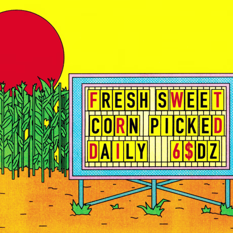 Illustration of a sign for fresh picked corn.