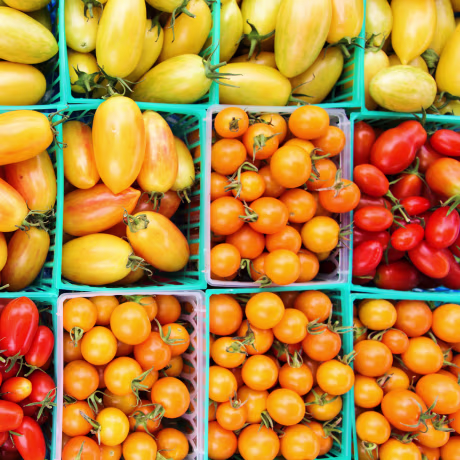 Photo of tomatoes at farmers market.