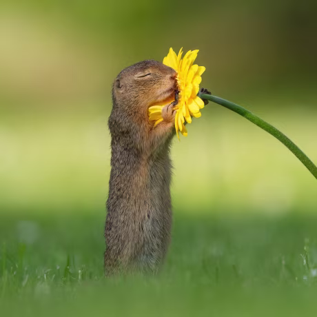 Image: