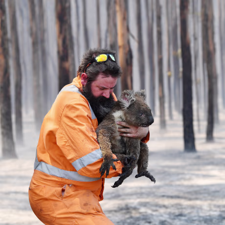 Wildlife rescuer Simon Adamczyk holds a rescued koala at a burning forest near Cape Borda on Kangaroo Island, southwest of Adelaide, Australia, on Jan. 7, 2020.