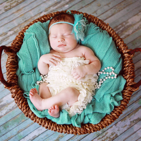 Newborn Baby Girl Sleeping in a Basket