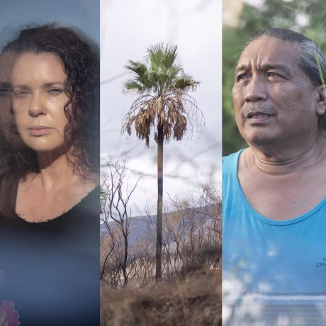 A collage with scenes from Maui and portraits of Debbie Scott and Denley Ompoy.