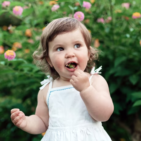 Photo of baby girl in a summer garden.