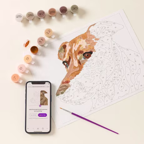 Uncommon Goods Paint Your Pet By Number Portrait Kit