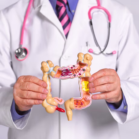 Doctor holding Common pathologies anatomical model
