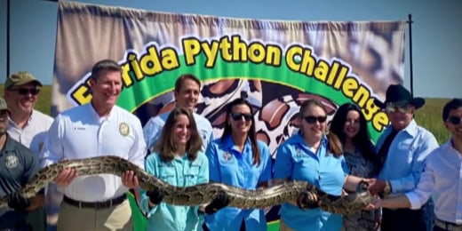 1726709871206 now topstory florida burmuse python 240918 1920x1080