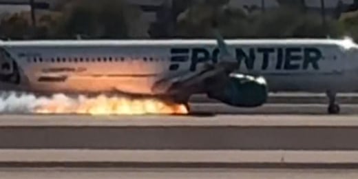 Caught on Camera: Koala Bear Walks Into Hospital