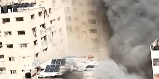 Wild turkeys terrorize Wisconsin town插图3