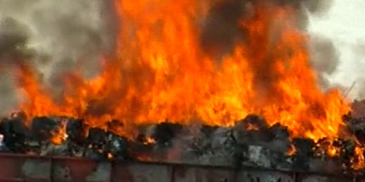 Video shows officers rescuing cows from a barn fire插图2