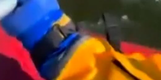 Dog rescued from frozen pond in Missouri插图1 Dog rescued from frozen pond in Missouri插图1