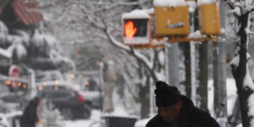 Cow in Austria uses broom to scratch herself插图2