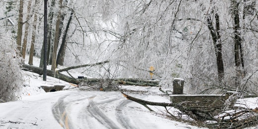 Winter freeze grips part of the country插图1