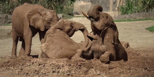 What it Means for US Economy