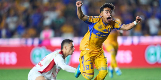Tigres y Toluca se enfrentan en la final de la Liga MX — image 6