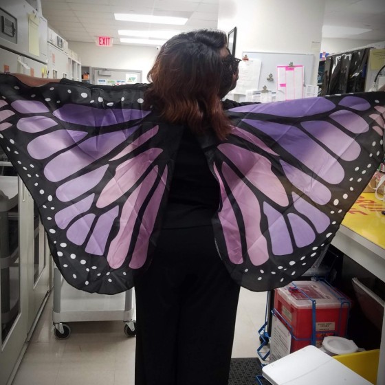Fun World Butterfly Wings