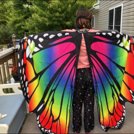 SIPU Butterfly Wings