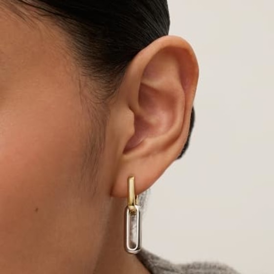 14K Two-Toned Convertible Link Earrings
