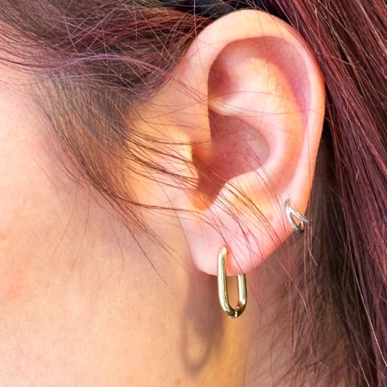 14K Two-Toned Convertible Link Earrings