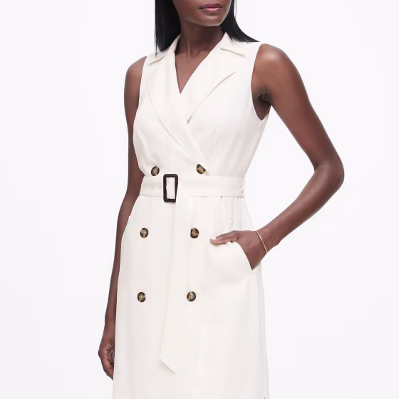 Double-Breasted Trench Dress
