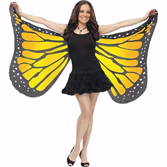Fun World Butterfly Wings