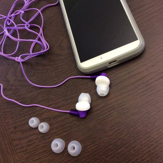 Panasonic ErgoFit Earbuds